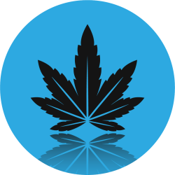 CBD